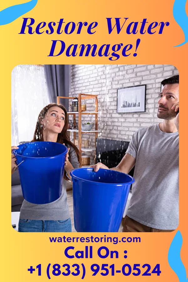 water restoration Superior Damage Recovery Company Isabel