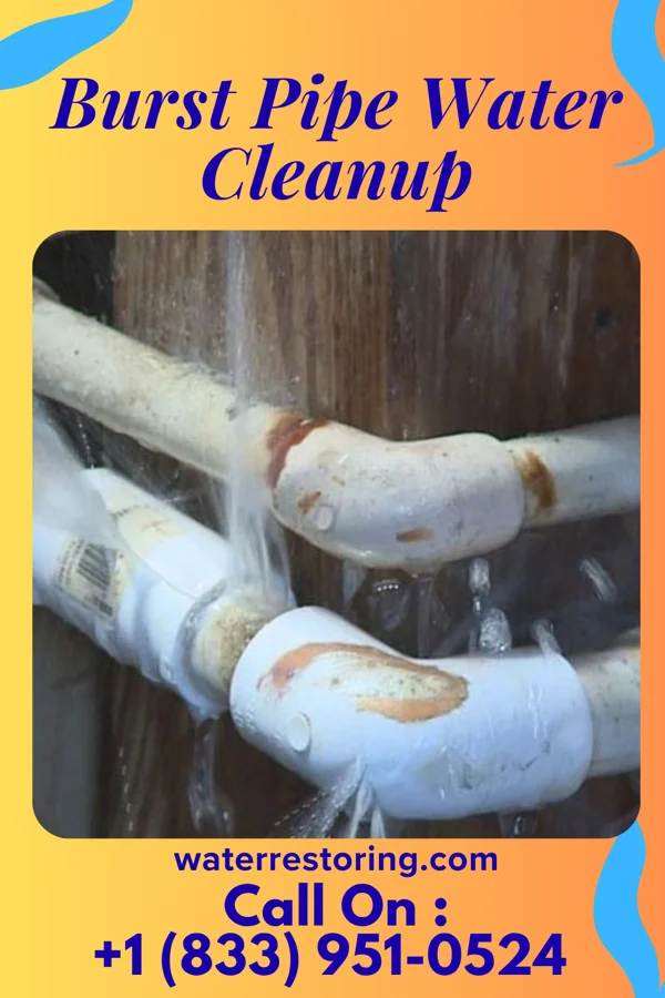 Burst Pipe Water Cleanup in Isabel, KS