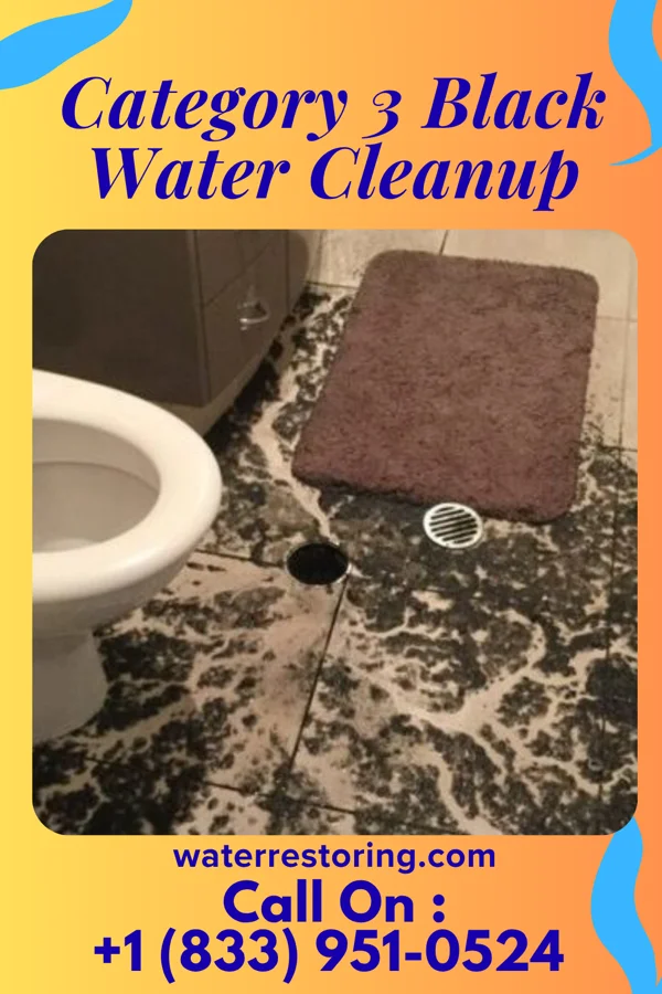 Category 3 Black Water Cleanup in Isabel, KS