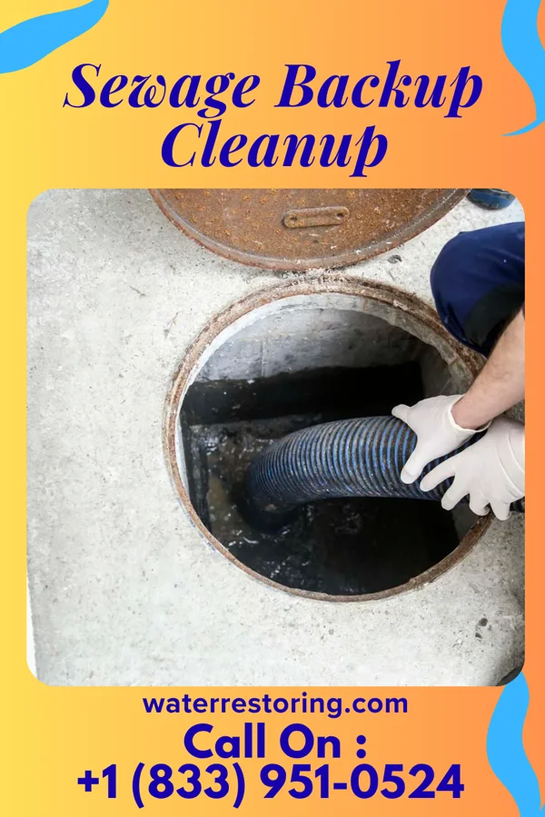 Sewage Backup Cleanup in Isabel, KS