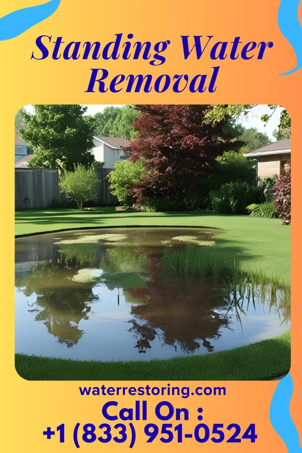 Standing Water Removal in Isabel, KS